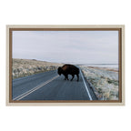 Art encadré - Buffalo Crossing