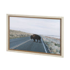 Art encadré - Buffalo Crossing