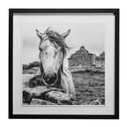 Art encadré - Beauté irlandaise